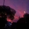 justyourlocalweirdo284