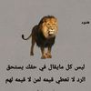 usert0vflsqzse