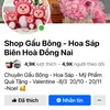 gaubonghoasapbienhoa