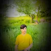 bashur04