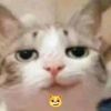 tongtt85