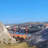 julia10_nk