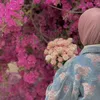 lela..26