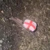 thisisourcountry2025