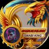 saeedkhan3481