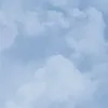 vwkffjdksmdm