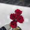 heba7890_