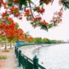 vu.th.thanh.59