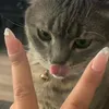 mlekoxgazowane