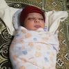 daoud.mustfa