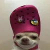سوالف مالها داعي