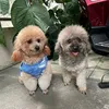thi.ngoc.nguyen521