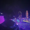 たまりゅう