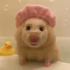 pi.pinky29