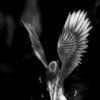 ainxiie_jordison