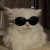 honguyencatvy