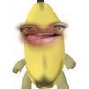 dailll