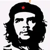 roger_brcs