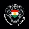 comandos_kurdstan