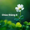 user8198194