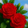 kajoluddin55