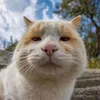 hhann_03