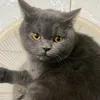 fwuanjr
