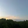 luigifiona