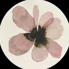 mireeyaacm