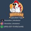 heveskar_inkubator