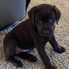 carolyn_047