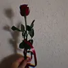 55_ilayda_55