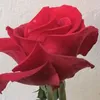 khaakhzaadi1