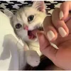 gheccccnhiuu