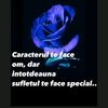florinm880