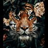 tigerrrrssss