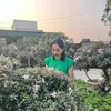 trungchim_ngocanh