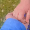srursrur