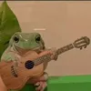 happyfrogssmile