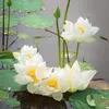 phuongmai42