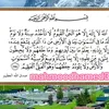 shwansyan2