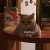___fafa4030483___