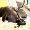 thesleepymom46