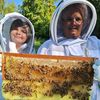 beekeepingwithgrandma