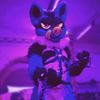 sucariothehusky