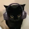 meowlow9