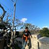 aluthfiadriansyah