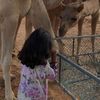 uae_643