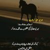 areeby74
