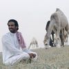 saud8aa